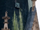 Herz-Jesu Kirche mit Wanderfalken